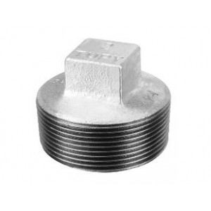 BUJAO TUPY BSP 1/4